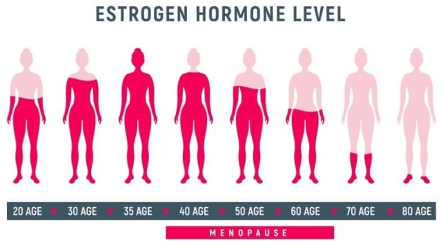 女性の年齢によるエストロゲン分泌量の変化