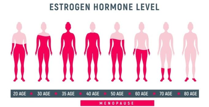 更年期のエストロゲンの低下