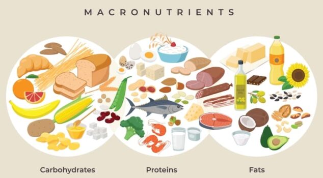 マクロ栄養素（タンパク質、脂質、炭水化物）
